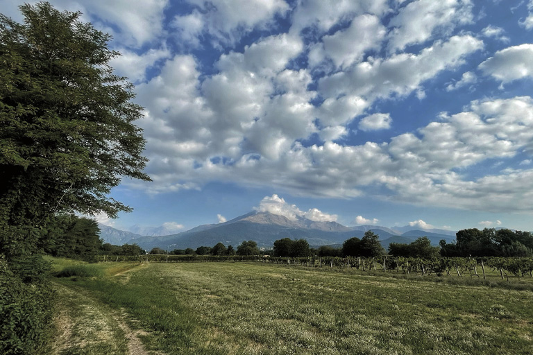Galleria panoramica