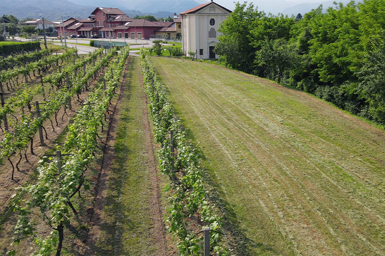 Galleria panoramica